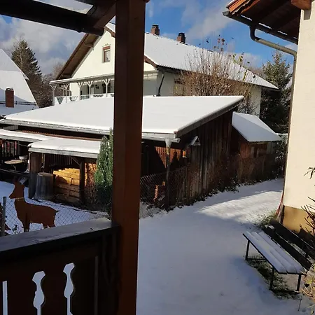 Apartment Traumhafte Im Herzen Von Mit Garten