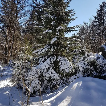 Traumhafte Im Herzen Von Mit Garten