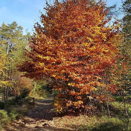 Traumhafte Im Herzen Von Mit Garten *